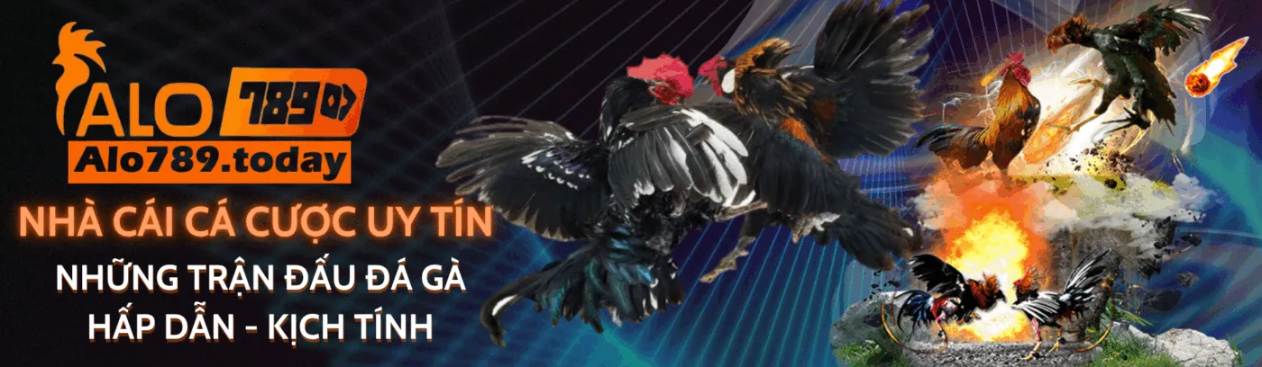 banner boss55club.in.net