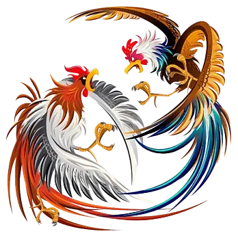 đá gà boss55club.in.net icon